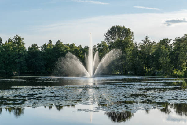 istock Fountain in a pond spraying water in the air 933610832
