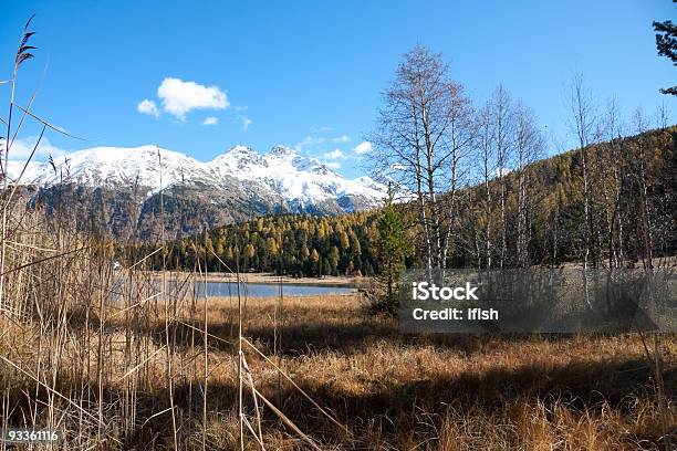 Indian Summer And Snow Mountains At Stazer Lake Engadin Switzerland Stock Photo - Download Image Now