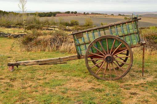 Picturesque Cart Of Oxen Lost From Manolo In Becerril. Landscapes Transportation Travel October 21, 2017. Becerril Segovia Castilla Leon Spain.