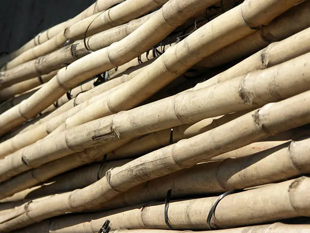 Photo of Construction Bamboo