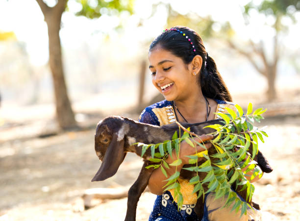 rural girl holding goat with leaves - animals feeding animal child kid goat imagens e fotografias de stock
