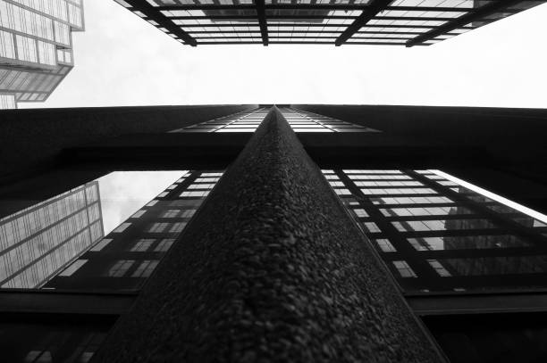Skyscrapers in Black and White