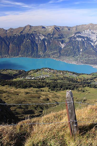 istock Lake Brienz in Switzerland 93361697