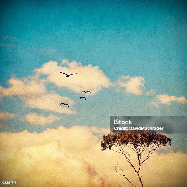 Traumhafte Sky Und Baum Stockfoto und mehr Bilder von Abgeschiedenheit - Abgeschiedenheit, Alt, Altertümlich