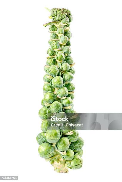 Stalk Of Brussels Sprouts Stock Photo - Download Image Now - Brussels Sprout, Cabbage, Color Image