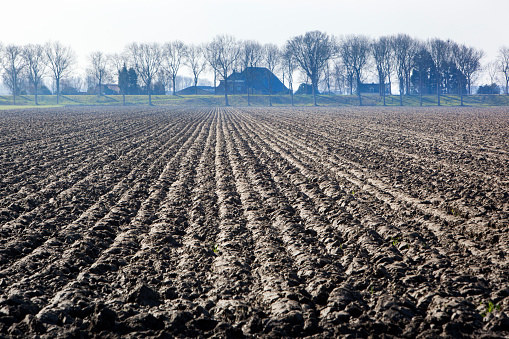 Plowed field in the Hoeksewaard in the Netherlands