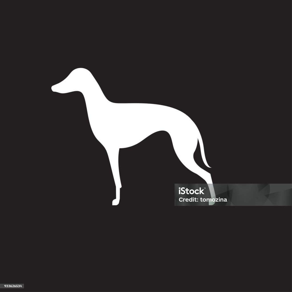 Silhouette of italian greyhound Silhouette of italian greyhound. Dog icon. Vector illustration Greyhound stock vector