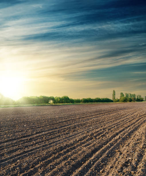 istock black agriculture field in sunset 933626550