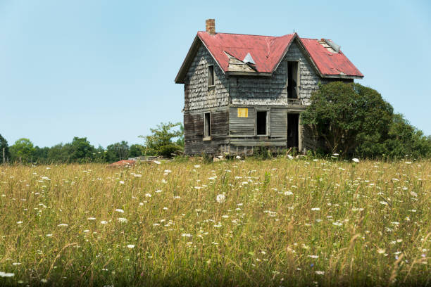 istock I Use to House a Happy Family 933626558