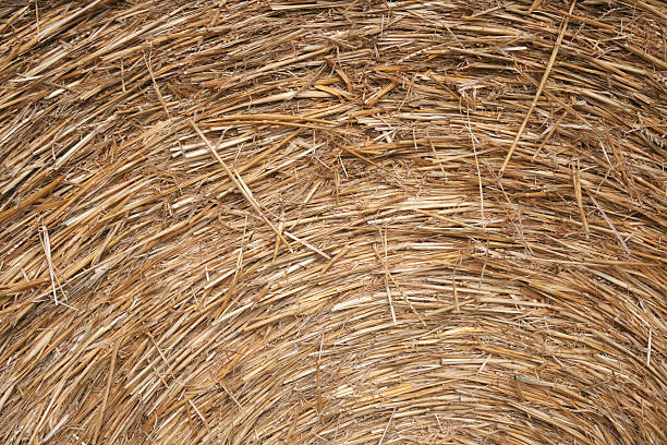 istock Detail bale of hay 93362797