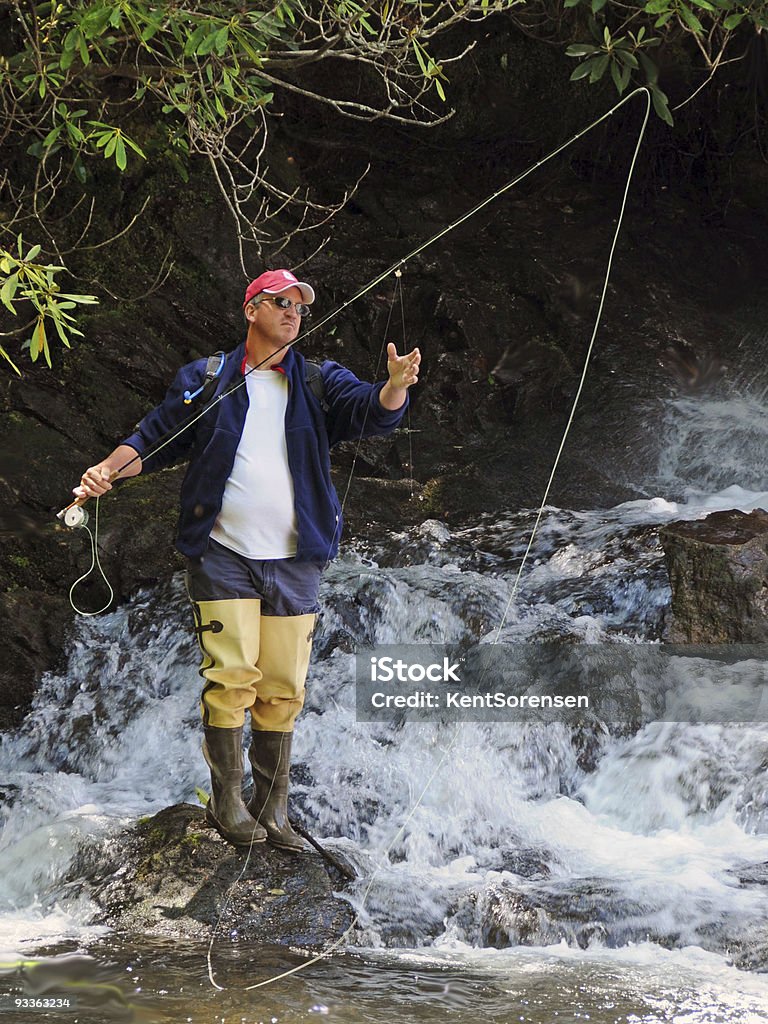 Pêche à la mouche dans la nature - Photo de Pêche à la mouche libre de droits