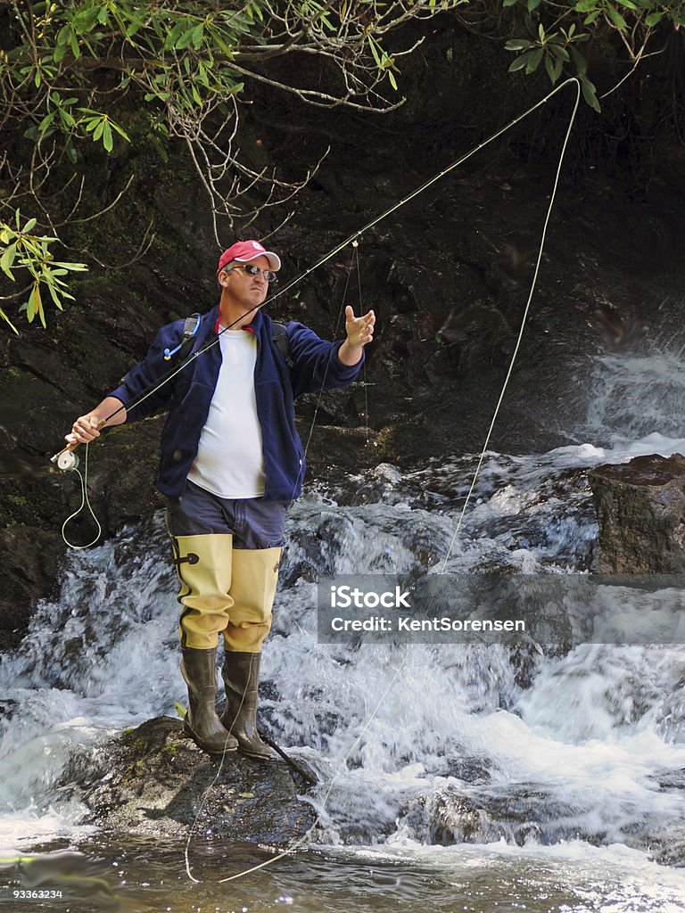 Latać połowów w Wilderness - Zbiór zdjęć royalty-free (Wędkarstwo muchowe)