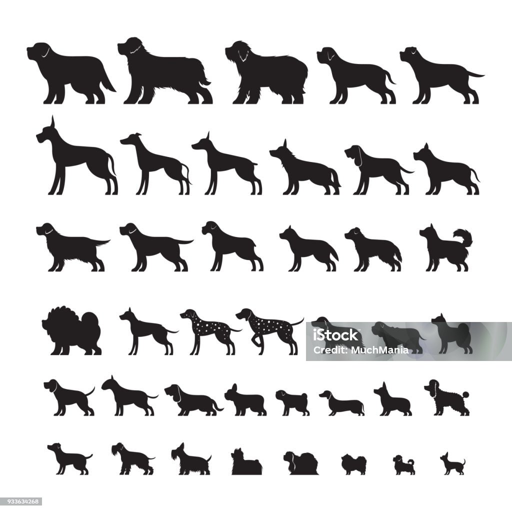 Ras psów, Zestaw Silhouette - Grafika wektorowa royalty-free (Pies)