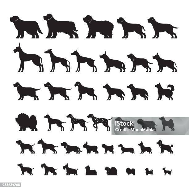 Dog Breeds Silhouette Set Stock Illustration - Download Image Now - Dog, In Silhouette, Icon