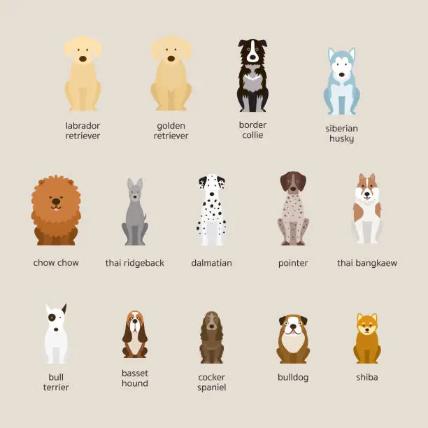 Vector illustration of Dog Breeds Set, Large and Medium Size