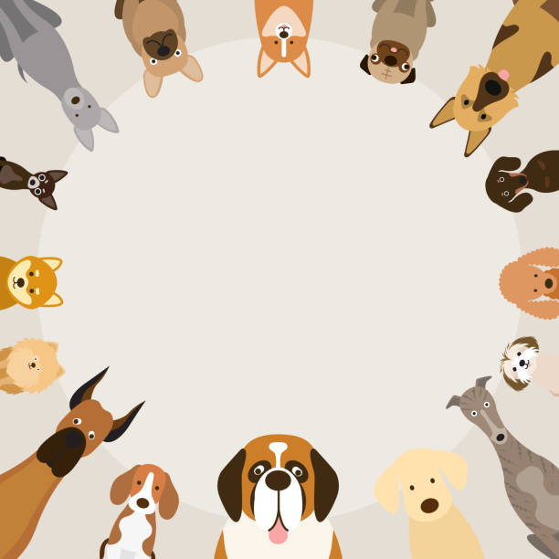 Dog Breeds, Round Frame Front View, Vector Illustration dog borders stock illustrations