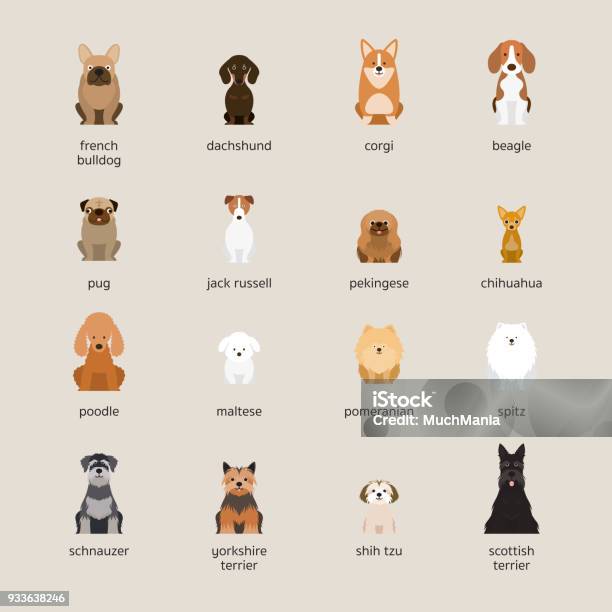 犬犬セット中小規模 - 犬のベクターアート素材や画像を多数ご用意 - 犬, イラストレーション, ベクター画像