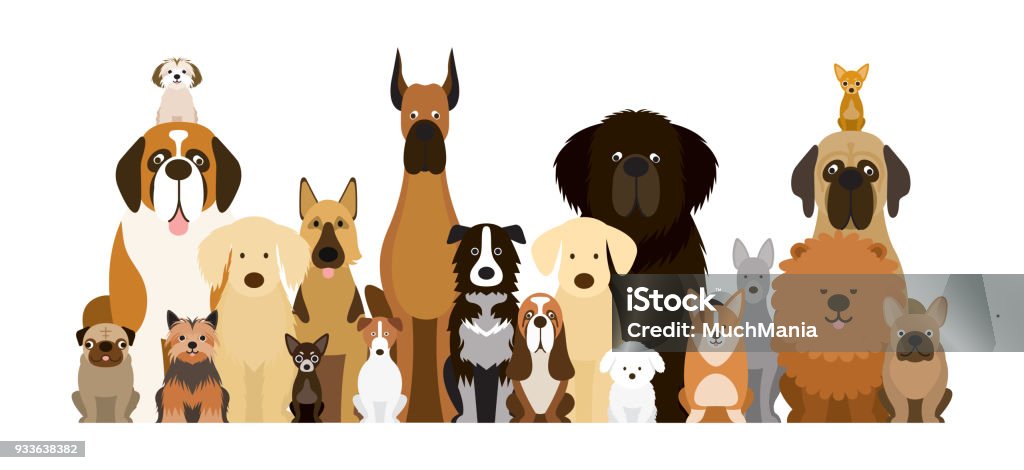 Group of Dog Breeds Illustration Various Size, Front View, Pet Dog stock vector