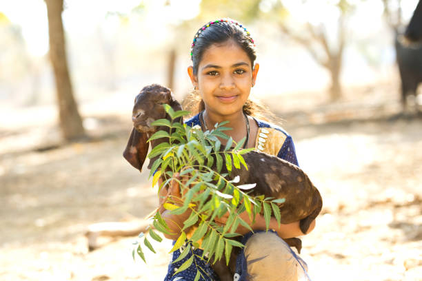 istock Rural girl holding goat with leaves 933652470