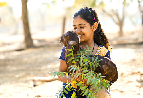 Happy Indian girl holding small goat with leaves