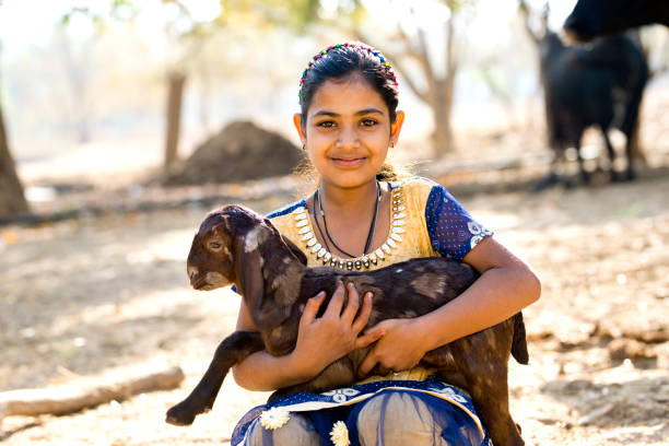 istock Rural girl holding goat 933652920