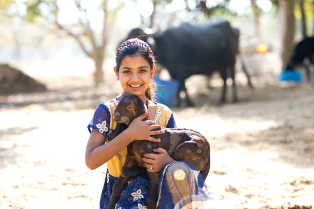 istock Rural girl holding goat 933652958