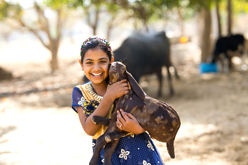 Happy Indian girl holding small goat