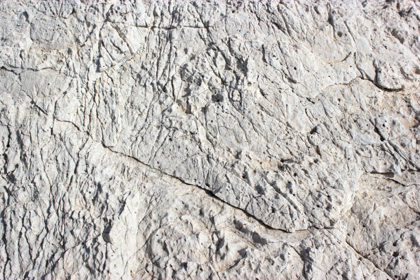 istock White stone texture with lots of deep cracks 933660416