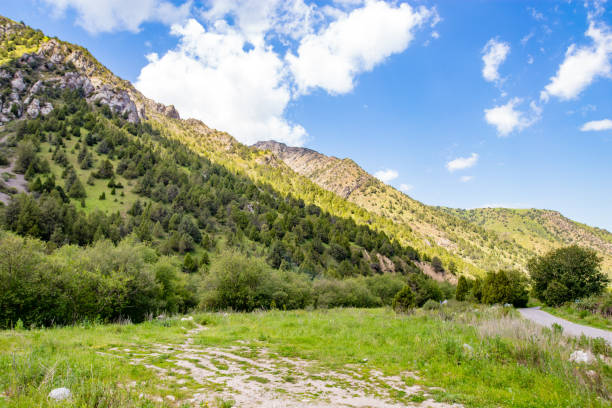 istock Beautiful nature in the Himalayas in spring 933660950