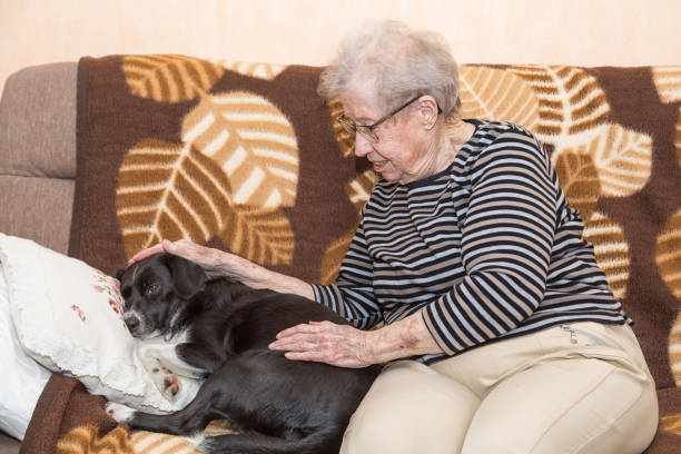 istock Grandmother on the couch with a dog 933662684