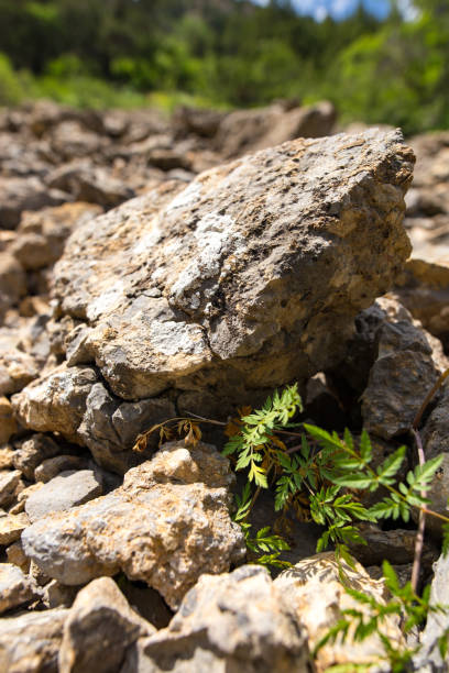 istock Large rocks in the mountains as a background 933665950