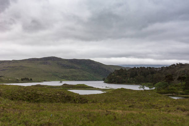 istock Loch Clair under heavey cloudscape, Kinlochewe, Scotland. 933666290