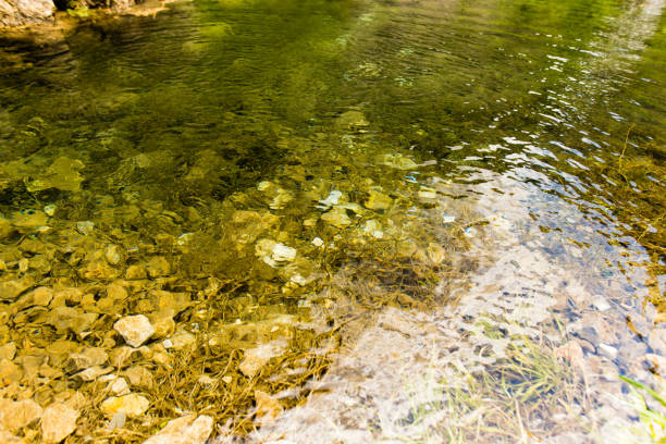 istock Circles on the surface of water with stones on the bottom 933666862