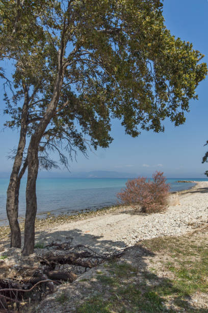 istock Beach of Ormos Prinou, Thassos island, Greece 933666880