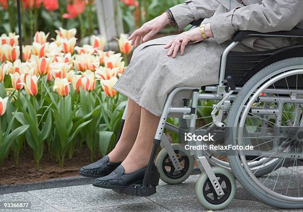 のご不自由なお客様用の車椅子の老人女性に接触した花 - 社会保障のストックフォトや画像を多数ご用意 - 社会保障, 障がい, 知覚