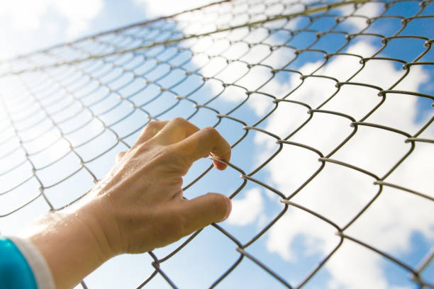 istock Hands on the fence raised in the blue sky 933680746