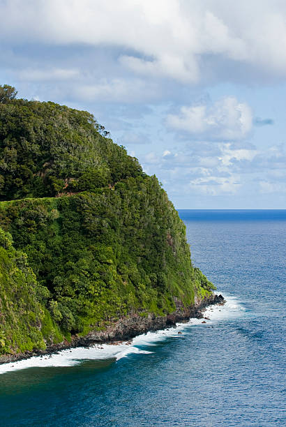 Hawaiian Islands, Maui - Road to Hana stock photo