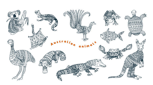 ilustraciones, imágenes clip art, dibujos animados e iconos de stock de conjunto de tribales vector animal australiano. - australian culture illustrations