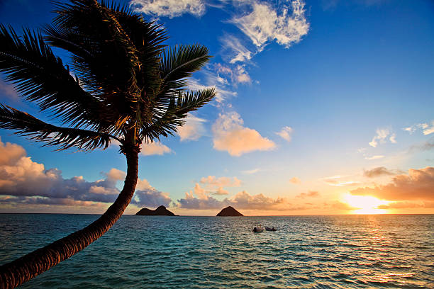 istock pacific sunrise at lanikai, hawaii 93371948