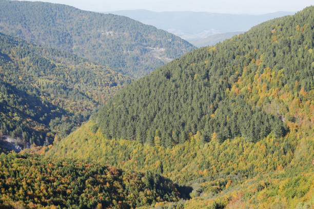 istock Colorful Mountain Ida in autumn, Turkey 933721720