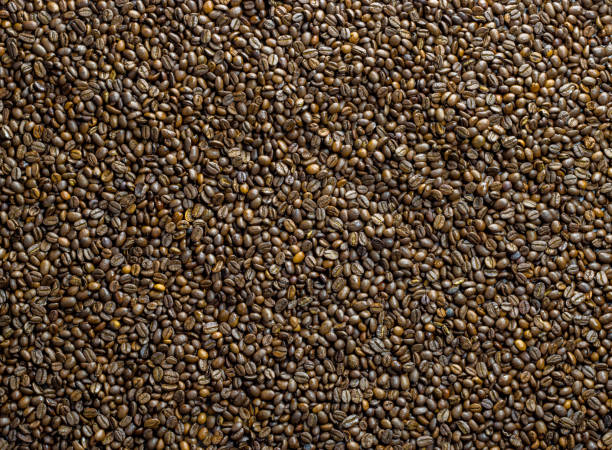 A lot of coffee beans