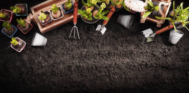 istock Gardening Tools and Plants. Spring Garden Works Concept 933801250