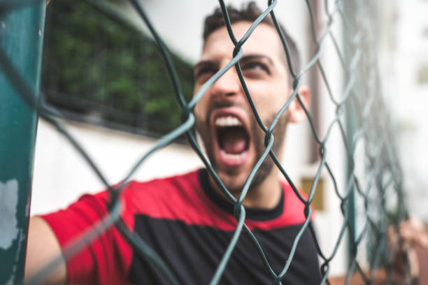 istock Soccer Fan Watching a Game in Stadium 933809376