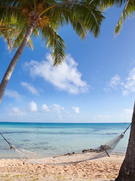 istock Hammock between palm trees on the seashore and the blue sky with clouds 933815516