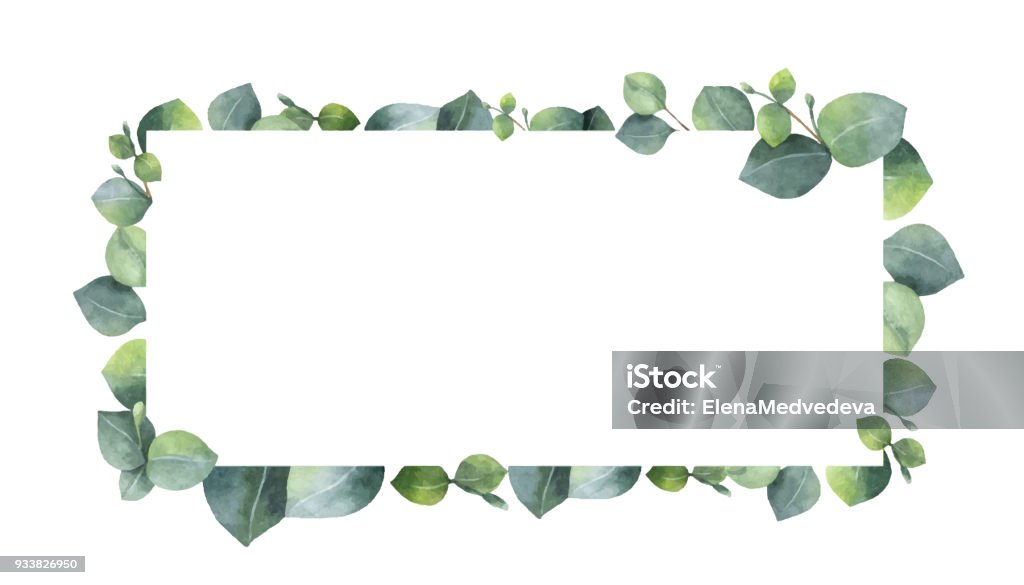 Watercolor vector wreath with green eucalyptus leaves and branches. Watercolor vector wreath with green eucalyptus leaves and branches. Spring or summer flowers for invitation, wedding or greeting cards. Eucalyptus Tree stock vector