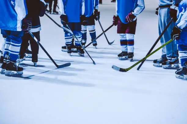 Photo of Young hockey players