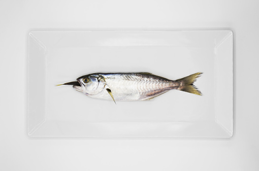 White background with white plate where big fish eats small fish.