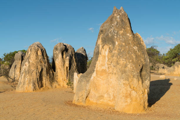 istock Nambung National Park, Western Australia 933846214