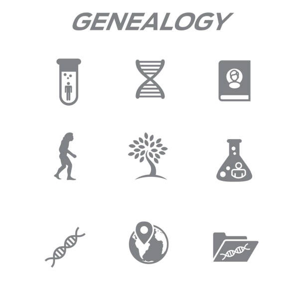 zestaw ikon pochodzenia lub genealogii z albumem drzewa genealogicznego, dna, zlewkami itp. - tree root family tree family stock illustrations