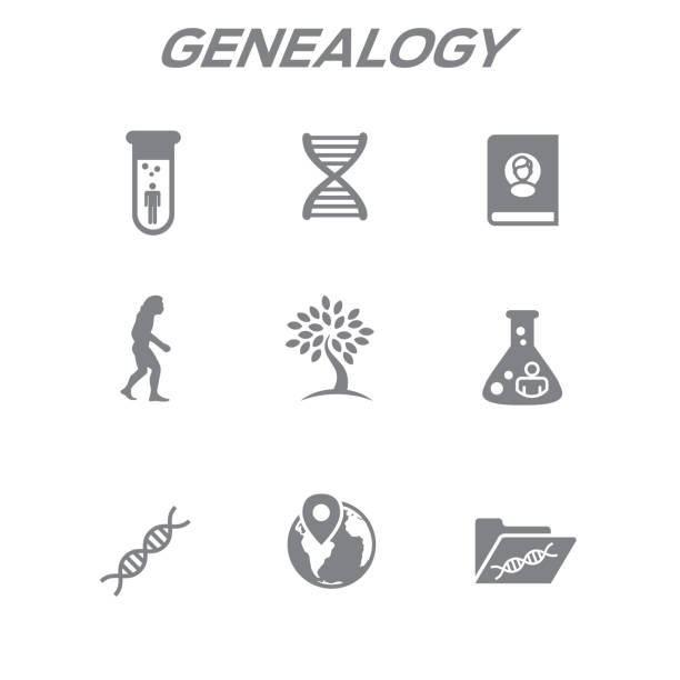 Ancestry or Genealogy Icon Set with Family Tree Album, DNA, beakers, etc Ancestry or Genealogy Icon Set with Family Tree Album, DNA, beakers, chemical family record, etc human genome map stock illustrations